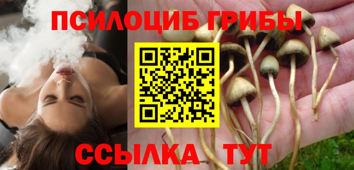 Псилоцибиновые грибы мухоморы Коряжма
