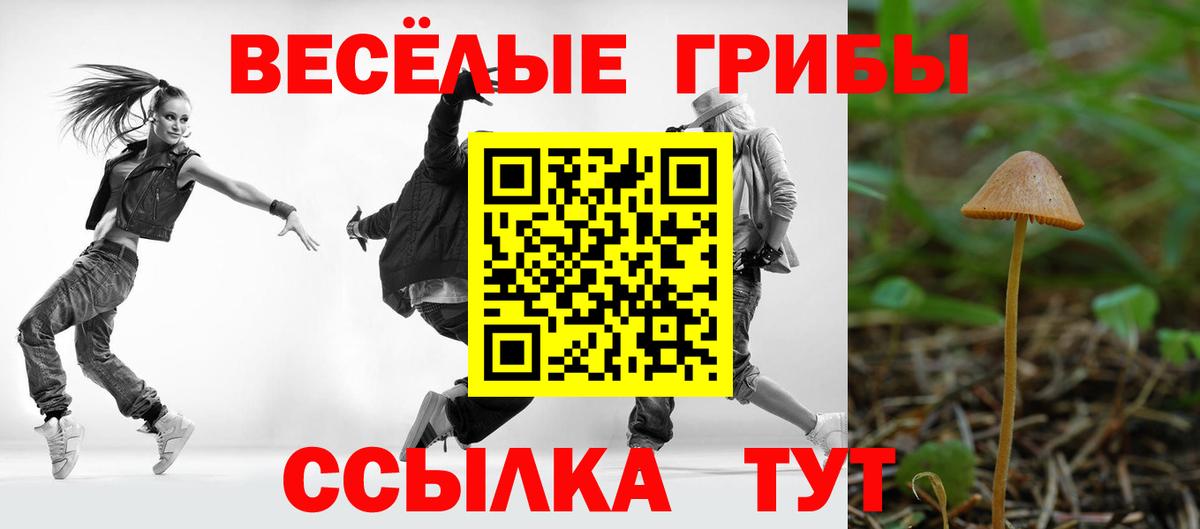 Галлюциногенные грибы Psilocybe  Вход с VPN  Коряжма 